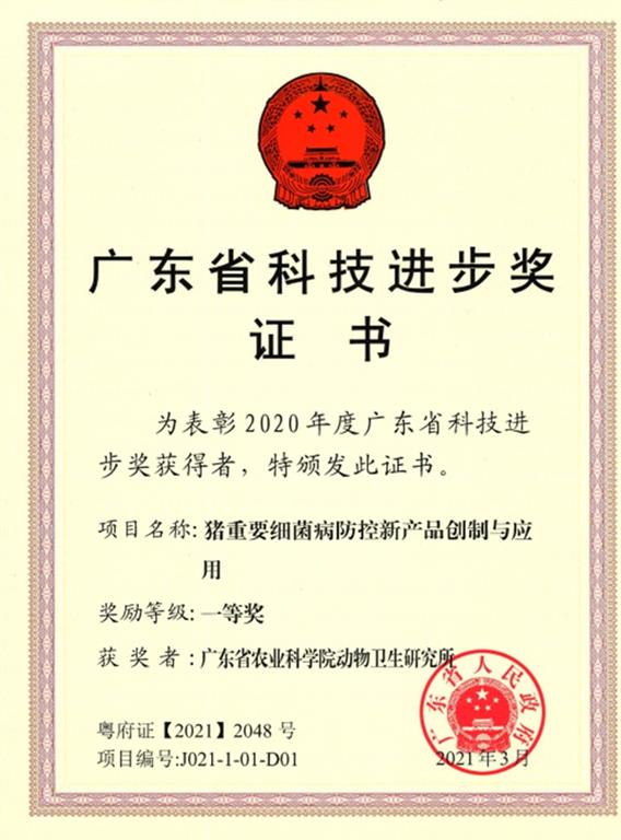 图片说明
