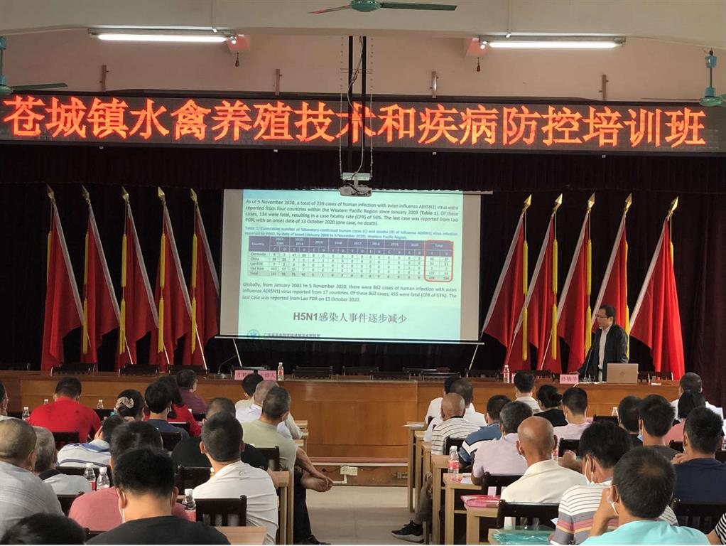 图片说明