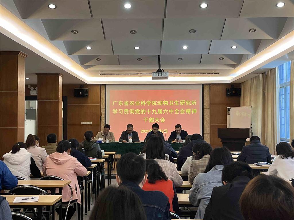 图片说明