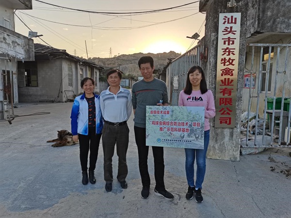 图片说明