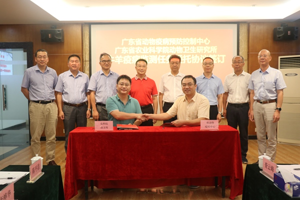 图片说明