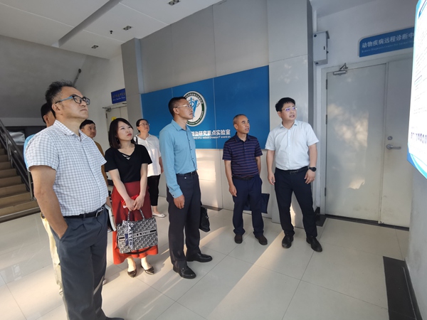 图片说明