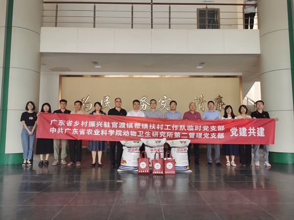 图片说明