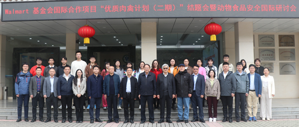 图片说明