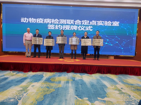 图片说明