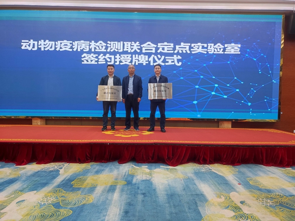 图片说明