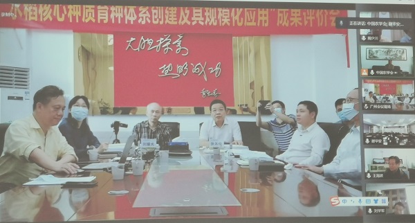 图片说明
