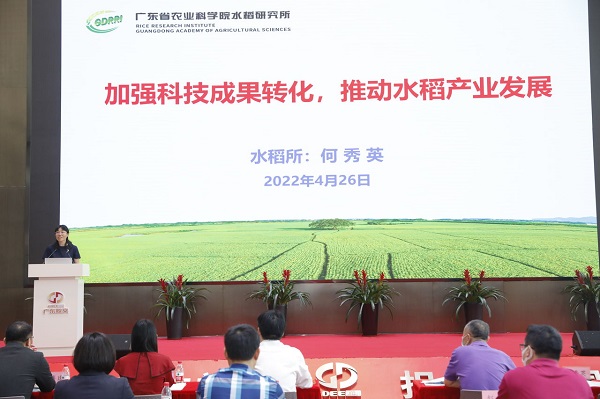 图片说明