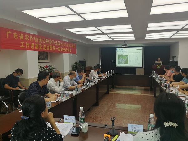 图片说明