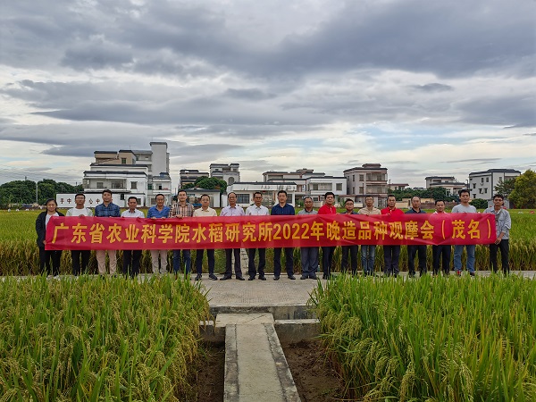 图片说明