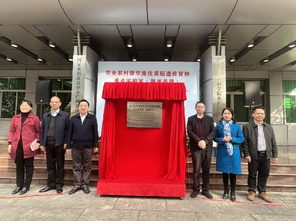 图片说明