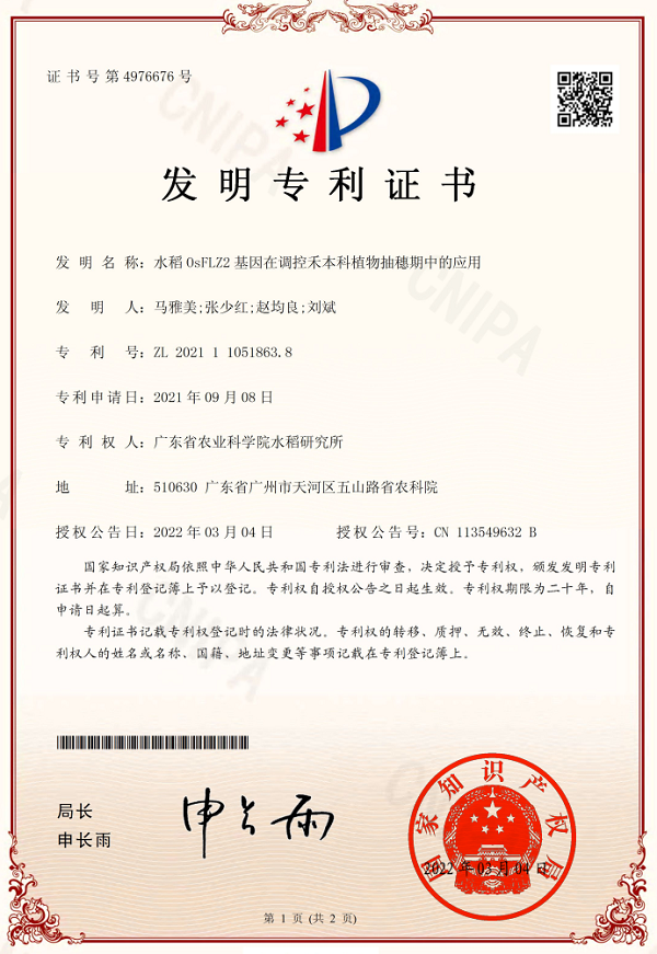 图片说明