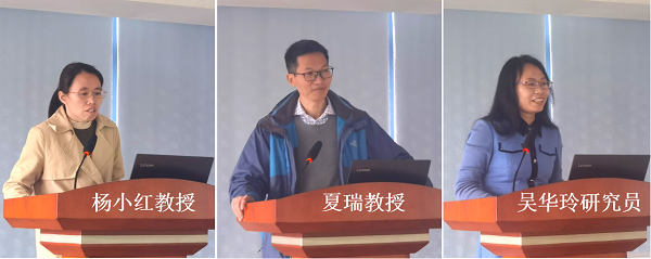 图片说明