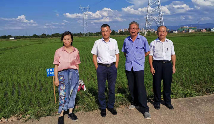图片说明