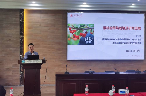学术报告2.jpg