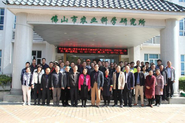 图片说明
