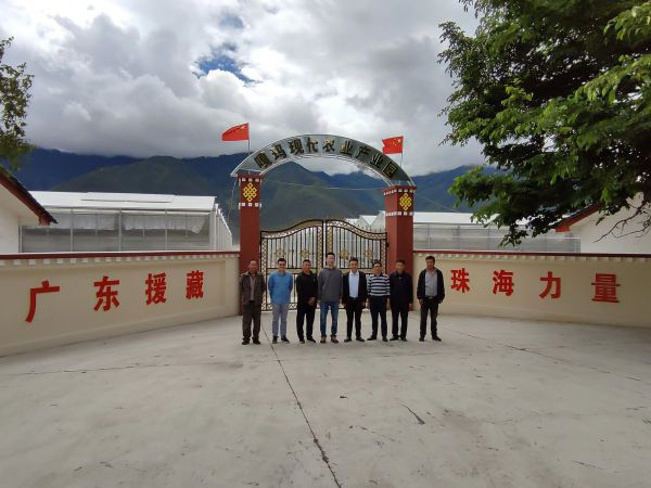 图片说明