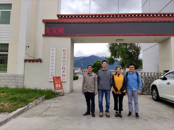 图片说明