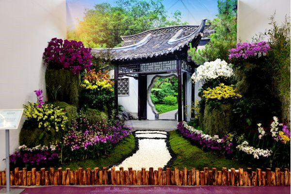 图片说明