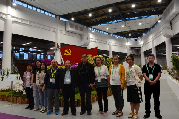 图片说明