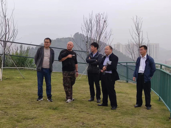 图片说明