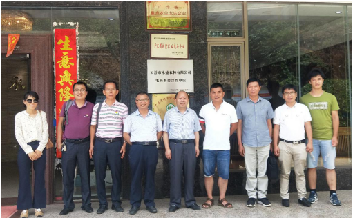 图片说明