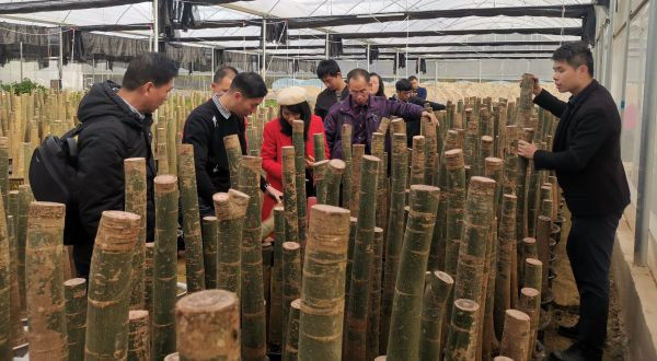 图片说明