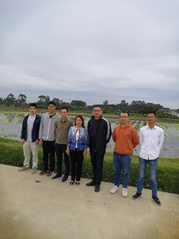 图片说明