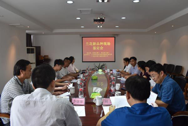 图片说明