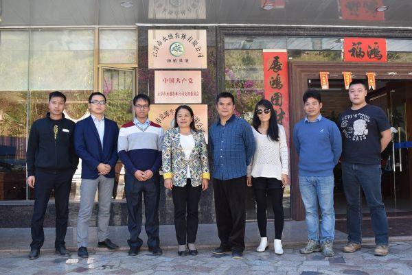 图片说明