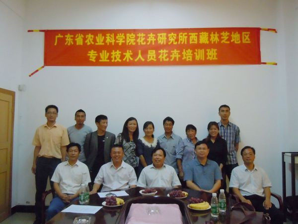 图片说明