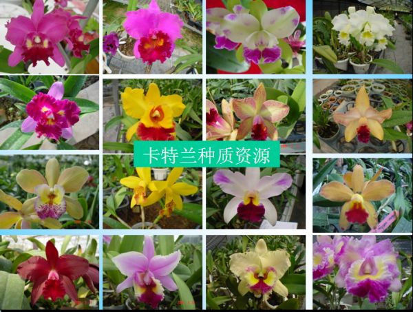 图片说明