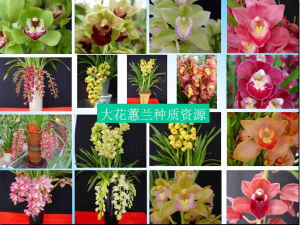 图片说明