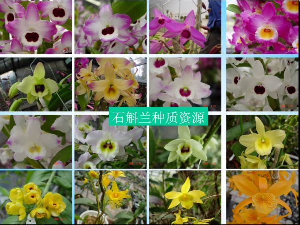 图片说明