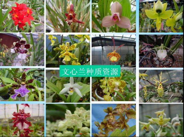图片说明