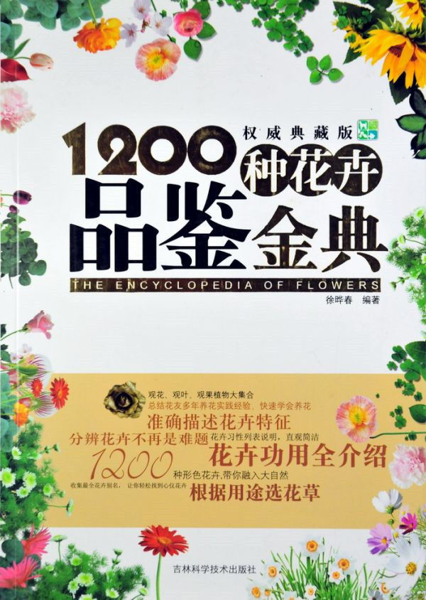 图片说明