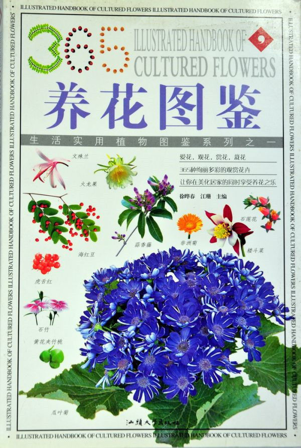 图片说明