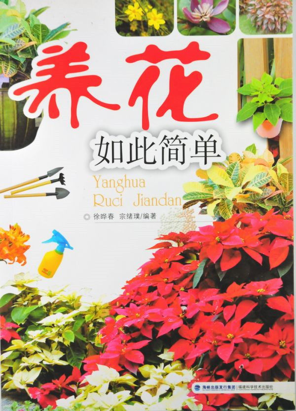 图片说明