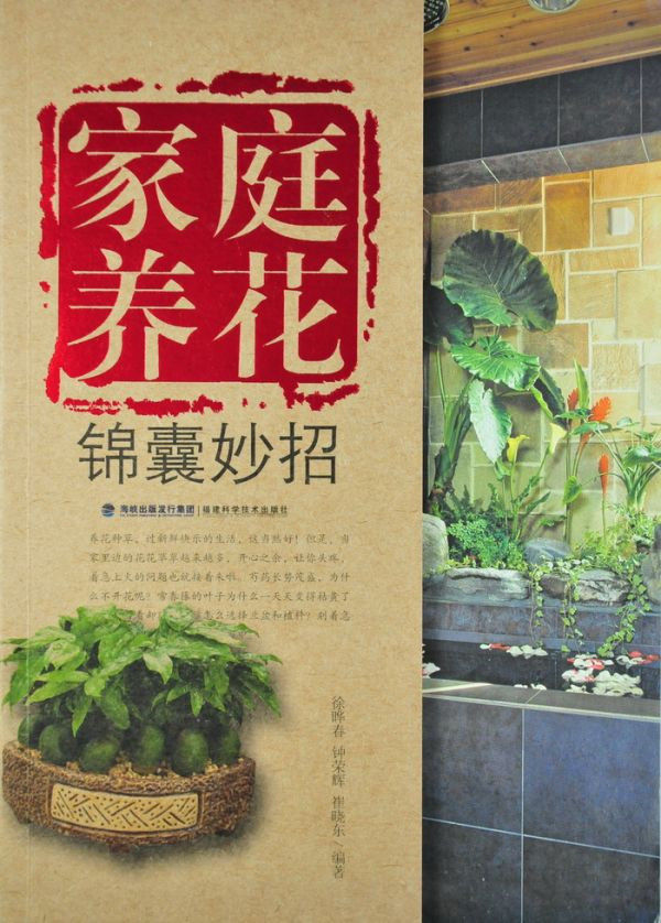 图片说明