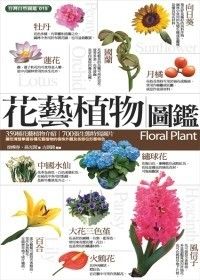 图片说明