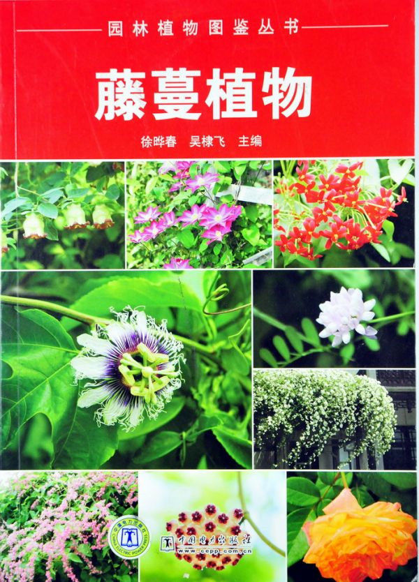 图片说明