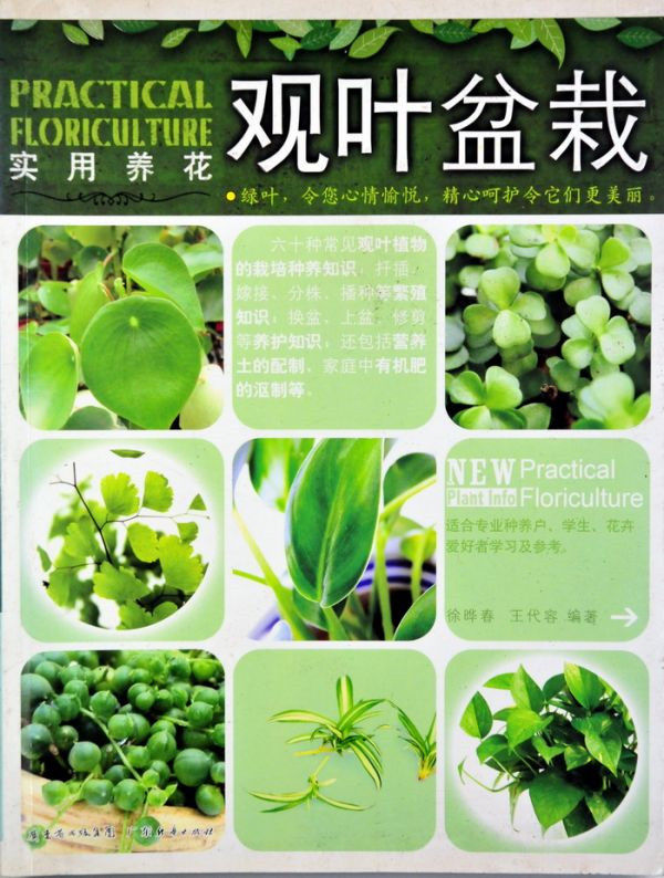 图片说明