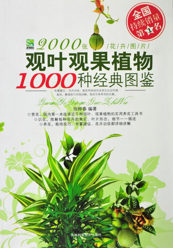 图片说明