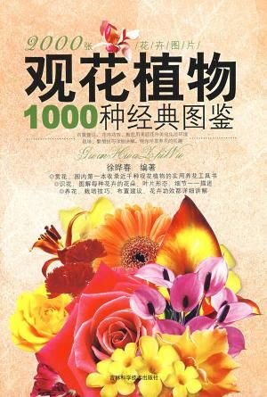 图片说明