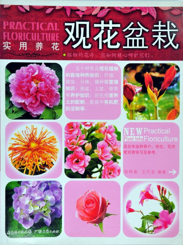 图片说明