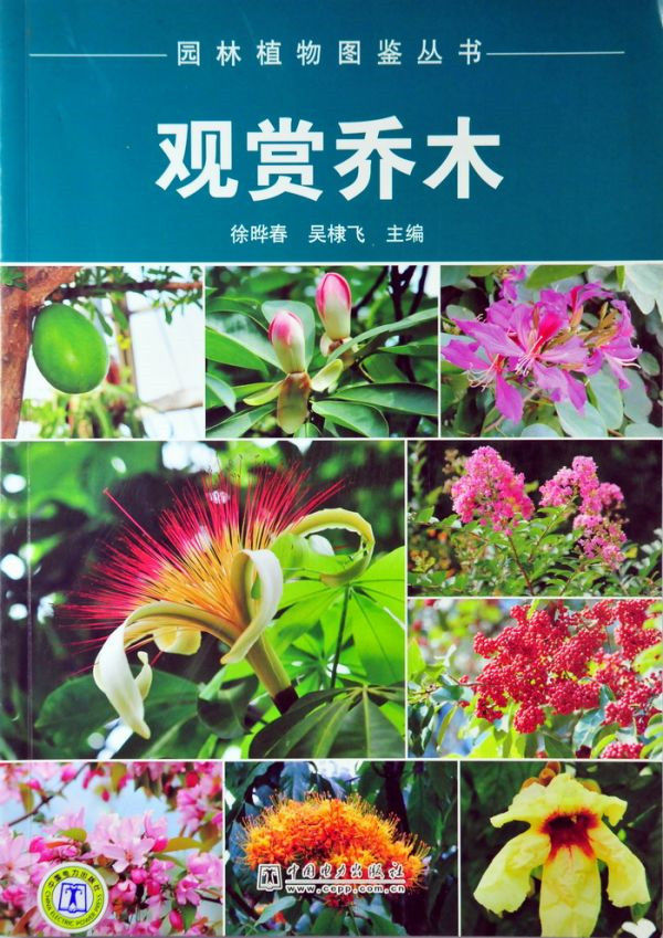 图片说明