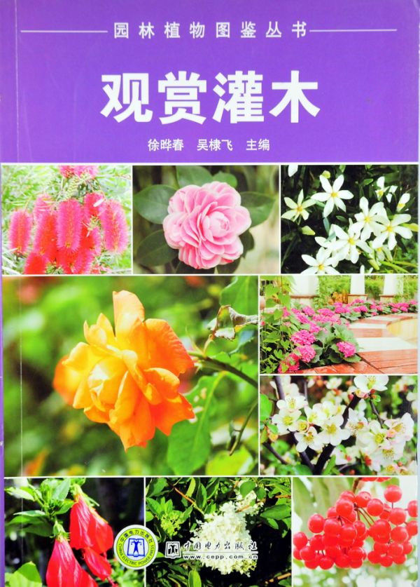 图片说明