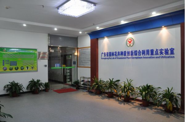 图片说明