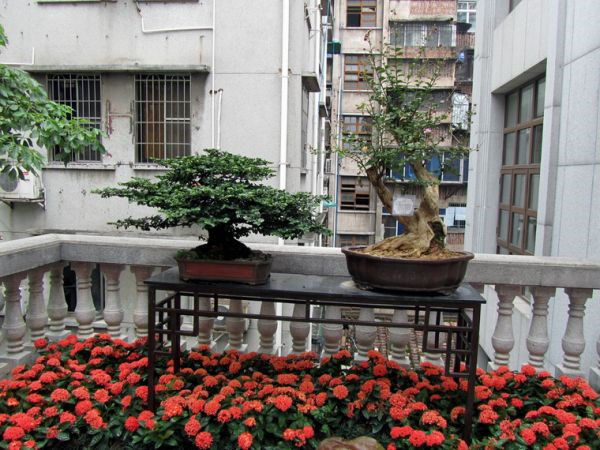 图片说明
