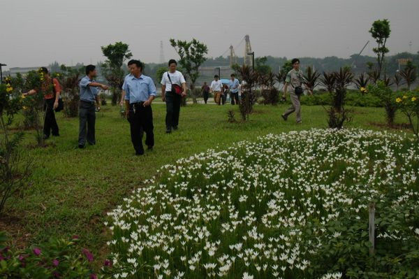 图片说明